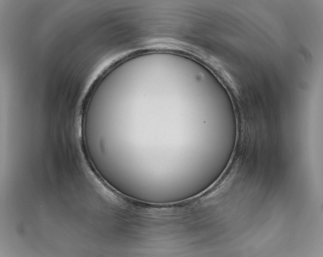X0000111661376200907171111