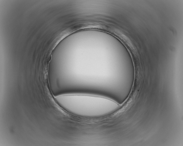X0000111661377200907171111