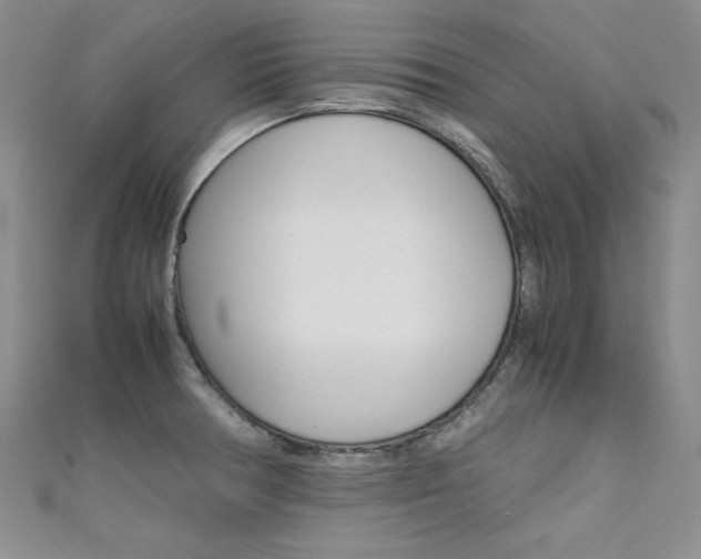 X0000111661378200907171111