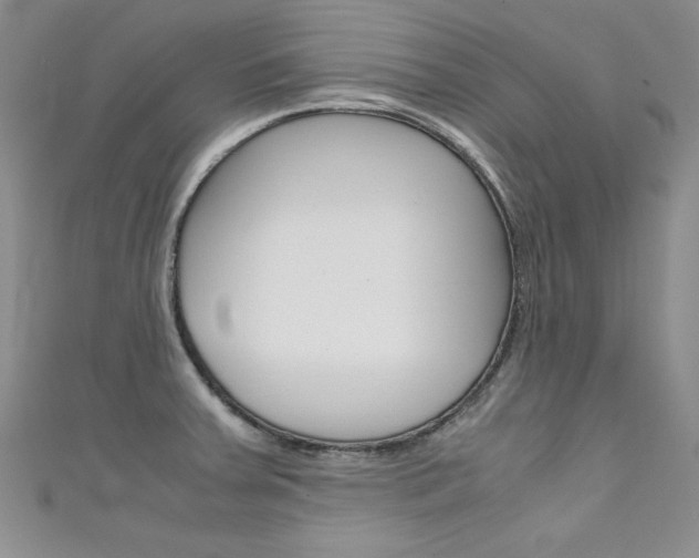 X0000111661379200907171111