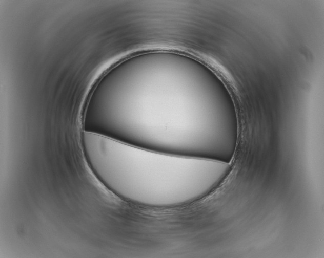 X0000111661380200907171111