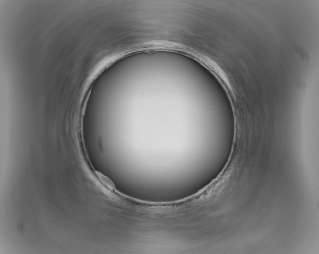 X0000111661381200907171110