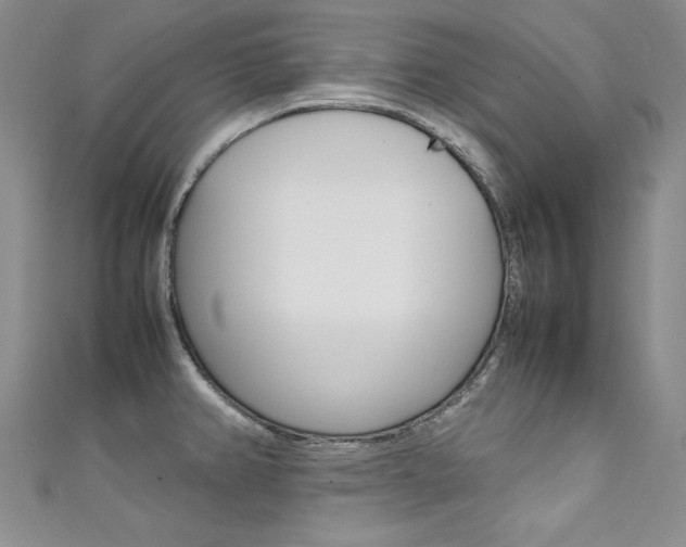 X0000111661382200907171110