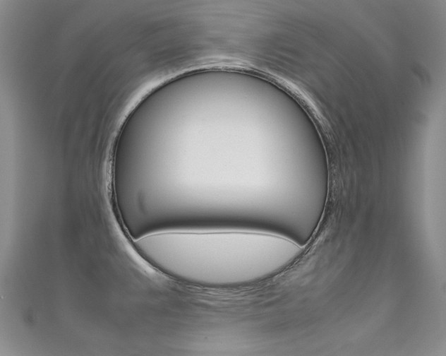 X0000111661383200907171110