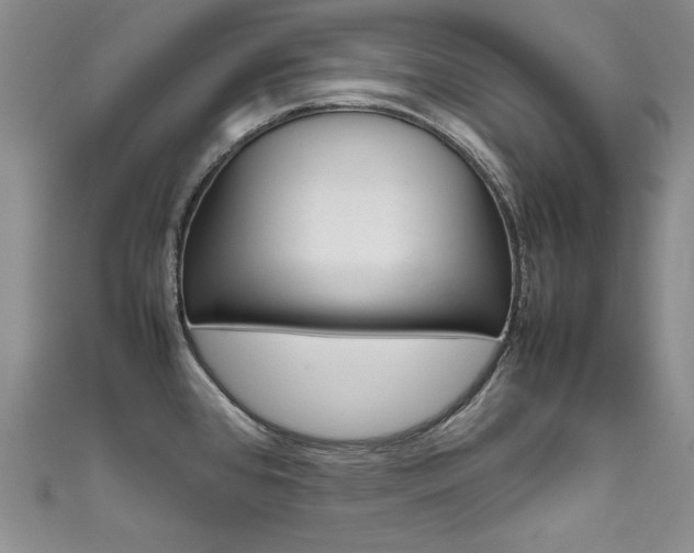 X0000111661384200907171110