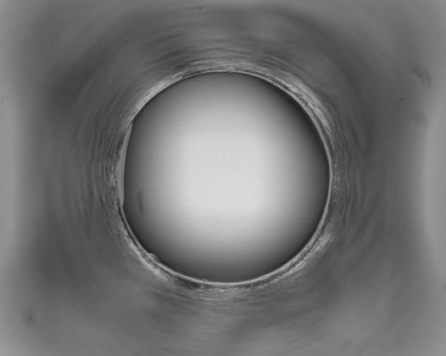 X0000111661385200907171110