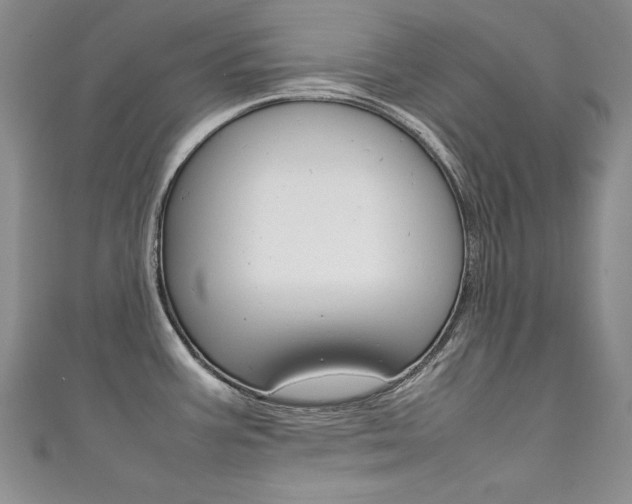 X0000111661387200907171110