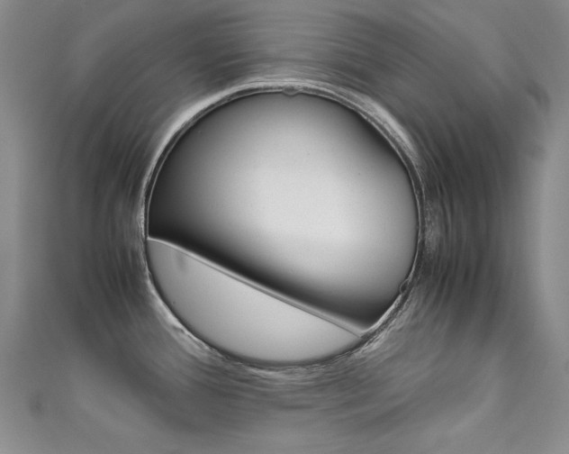 X0000111661388200907171110