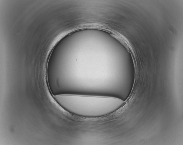 X0000111661389200907171110