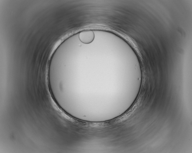 X0000111661390200907171110