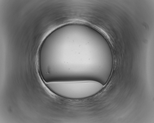 X0000111661391200907171110