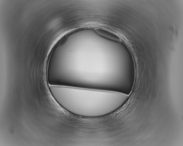 X0000111661392200907171110