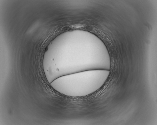 X0000111661393200907171110