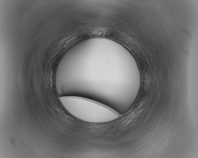 X0000111661394200907171110