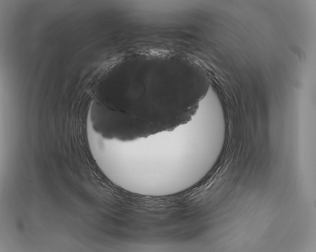 X0000111661395200907171110