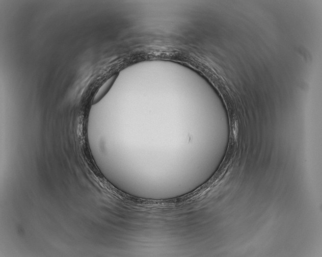 X0000111661396200907171110