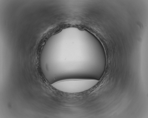 X0000111661398200907171110