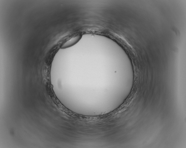 X0000111661399200907171110