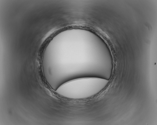 X0000111661400200907171110