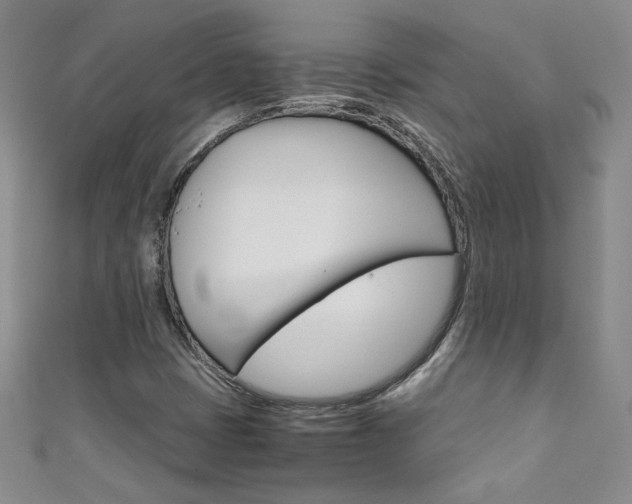 X0000111661401200907171110