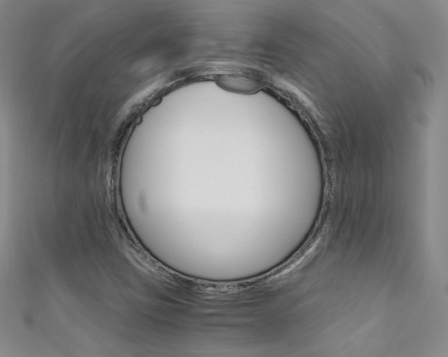 X0000111661403200907171110