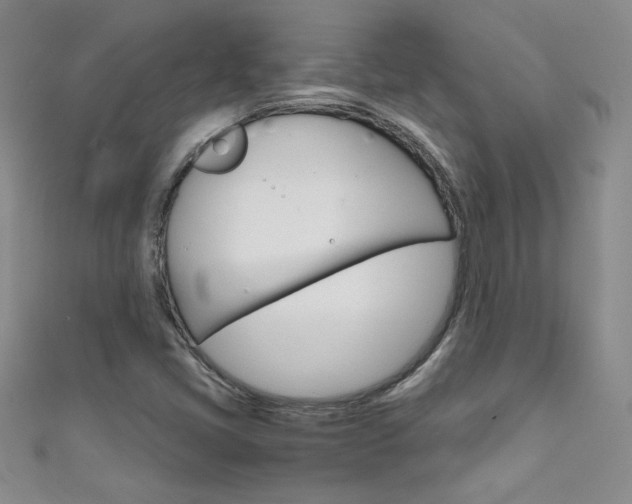 X0000111661405200907171110