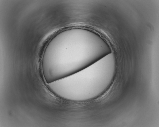 X0000111661406200907171110