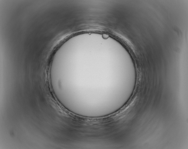 X0000111661407200907171110