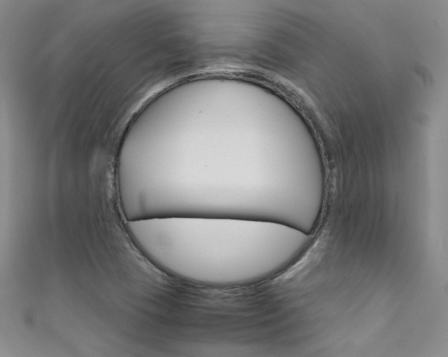 X0000111661409200907171110