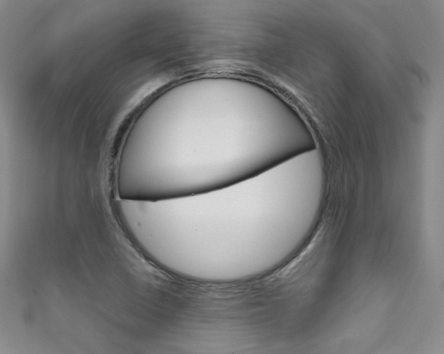 X0000111661410200907171110