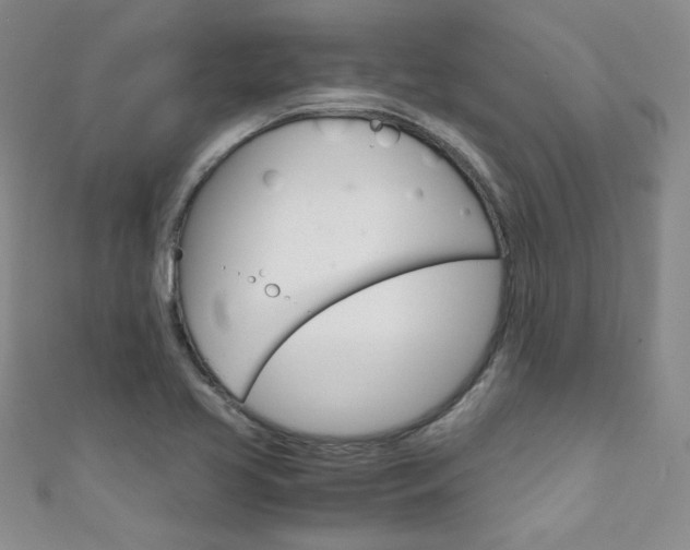 X0000111661413200907171110