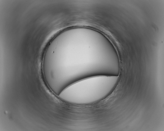 X0000111661416200907171110