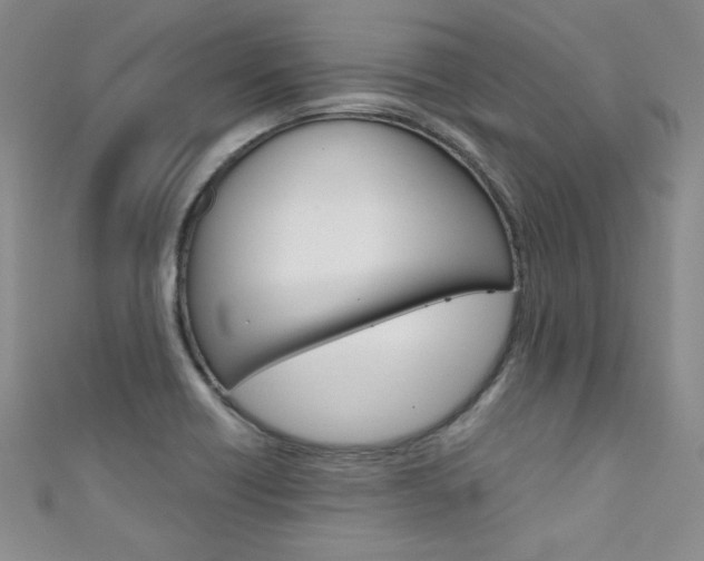 X0000111661418200907171110