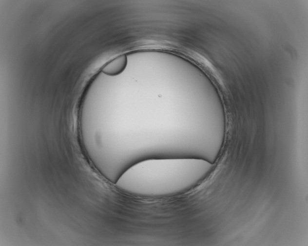 X0000111661419200907171110
