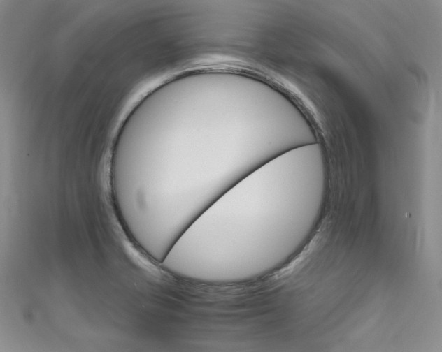 X0000111661421200907171110