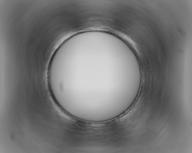 X0000111661423200907171110
