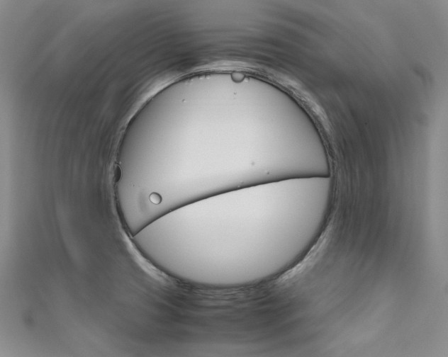 X0000111661425200907171110