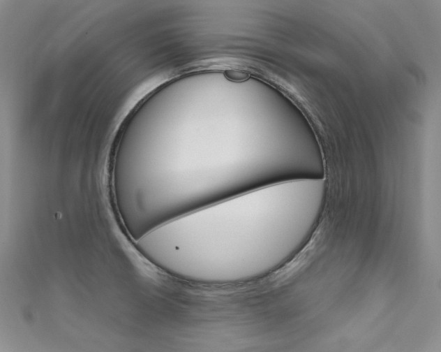 X0000111661426200907171110