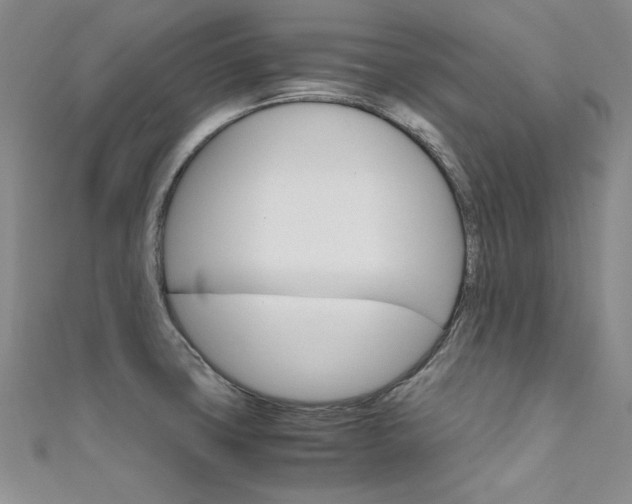 X0000111661427200907171110