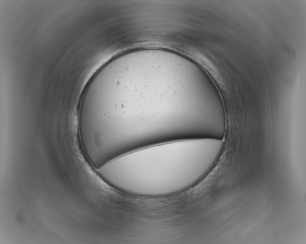 X0000111661428200907171110