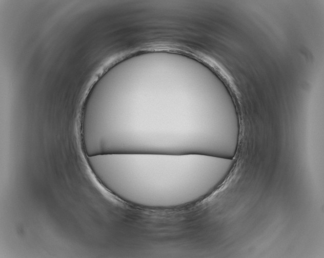 X0000111661429200907171110