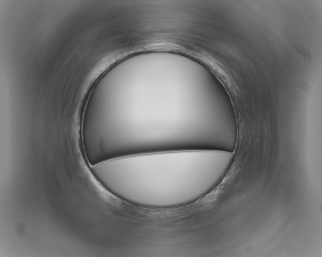 X0000111661430200907171110