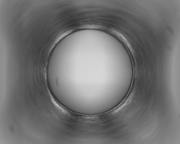 X0000111661433200907171110