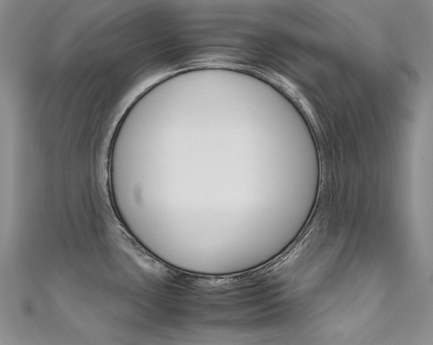 X0000111661435200907171110
