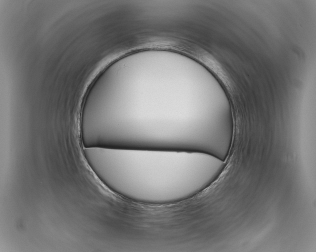 X0000111661436200907171110