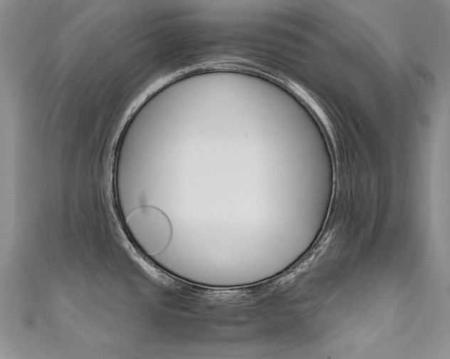 X0000111661437200907171110