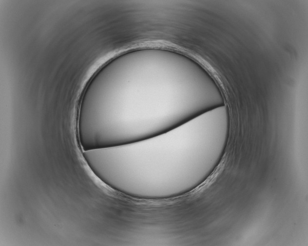 X0000111661438200907171110
