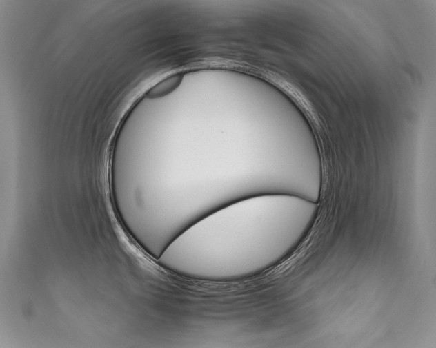 X0000111661439200907171110