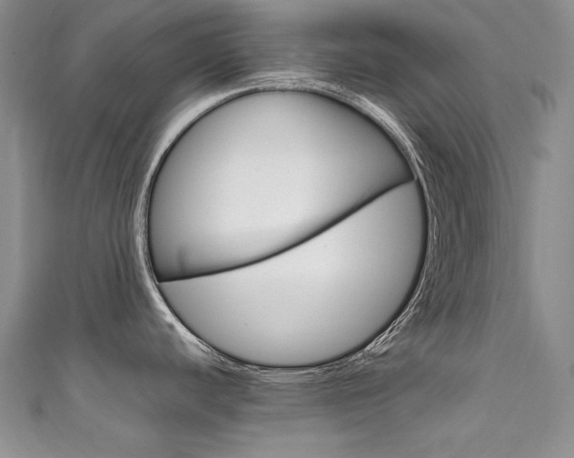 X0000111661440200907171110