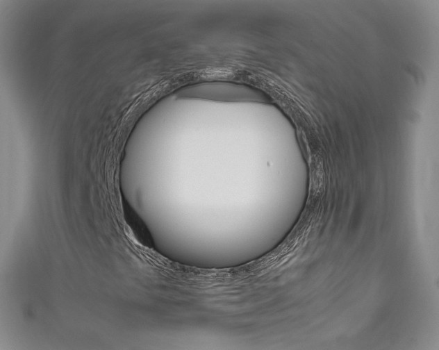 X0000111661441200907171110